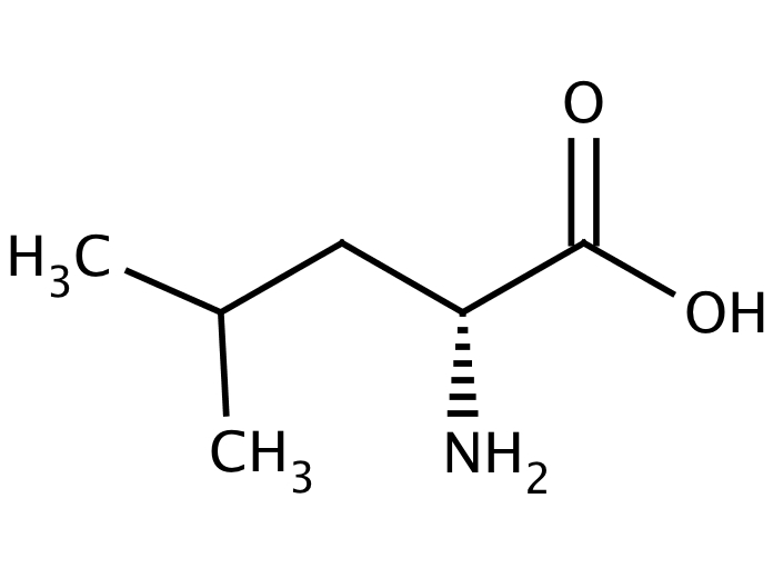 Purchase D Leucine 328 38 1 Online Catalog Molekula Group