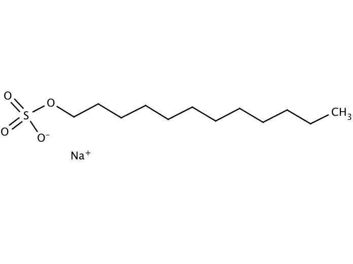 Purchase SDS (Sodium dodecyl sulfate) [151213] online • Catalog