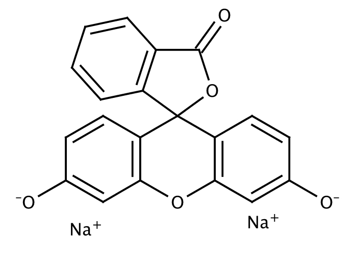 Purchase Fluorescein disodium salt (insoluble, 5053 dye content) [518478] online • Catalog