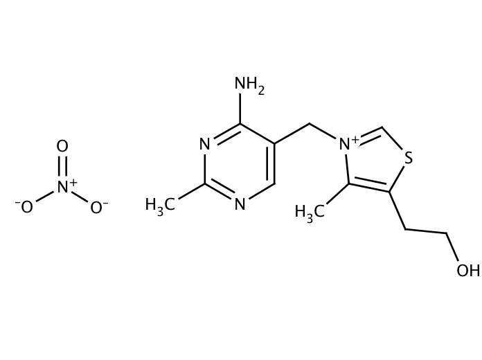 Purchase Thiamine nitrate [532-43-4] online • Catalog • Molekula Group