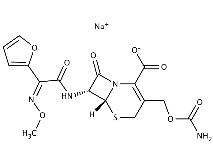 Purchase Cefuroxime Sodium Salt Online Catalog Molekula Group