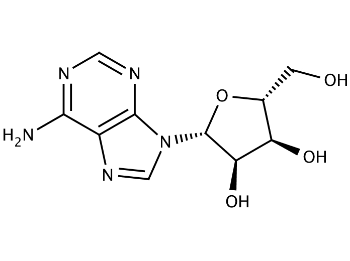 56 0 4. Adenosini+Nicotinamidi+cytochromi c GTT. 10 Ml.