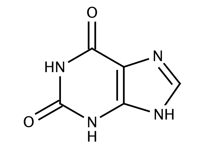 Purchase Xanthine (2,6-Dihydroxypurine) [69-89-6] online • Catalog ...