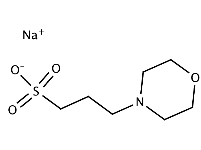 Purchase MOPS Sodium salt Ultrapure [71119-22-7] online • Catalog ...
