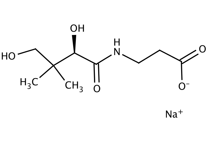 Purchase DPantothenic acid sodium salt [867812] online • Catalog